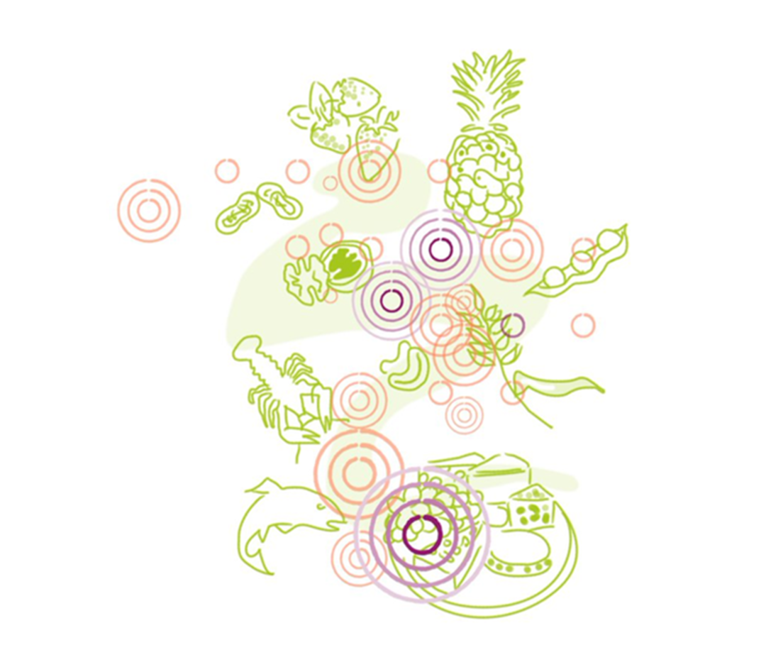 Nesselsucht-Ursachen: Illustration Lebensmittel Illustration mit Obst, Fisch und Schalentieren.