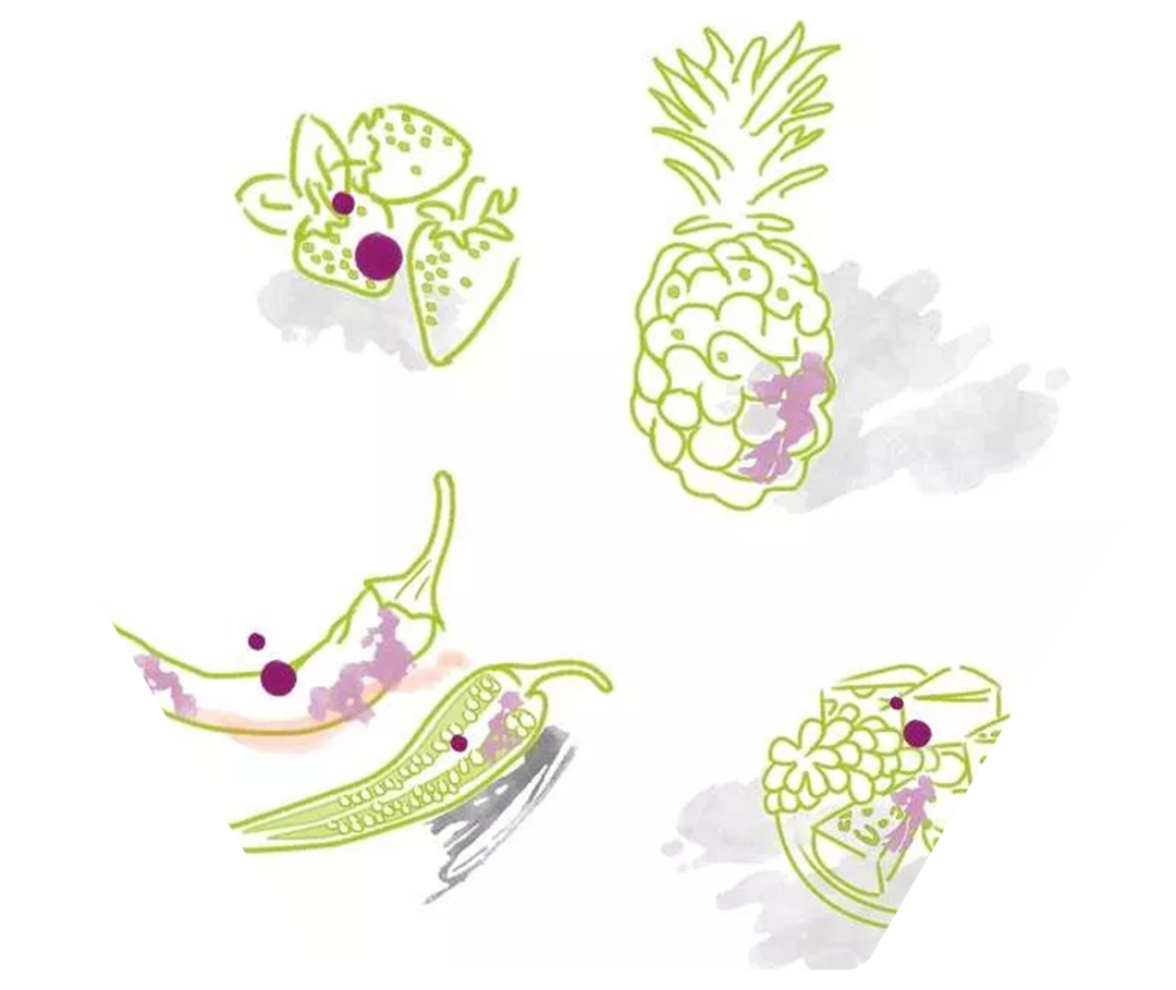 Nesselsucht und Ernährung Das ist wichtig nesselsuchtinfo.de